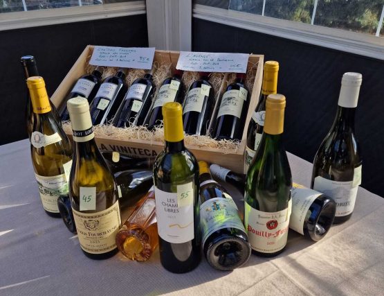 La última Feria del Vino en Vinolio: una experiencia para recordar